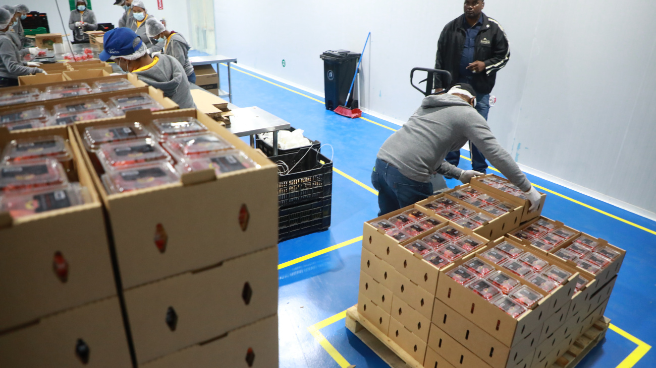 Durante el período de octubre a diciembre de 2023, las zonas francas experimentaron un aumento significativo del 134% en el número de contenedores mensuales gracias a la implementación del Programa de Despacho en 24 Horas